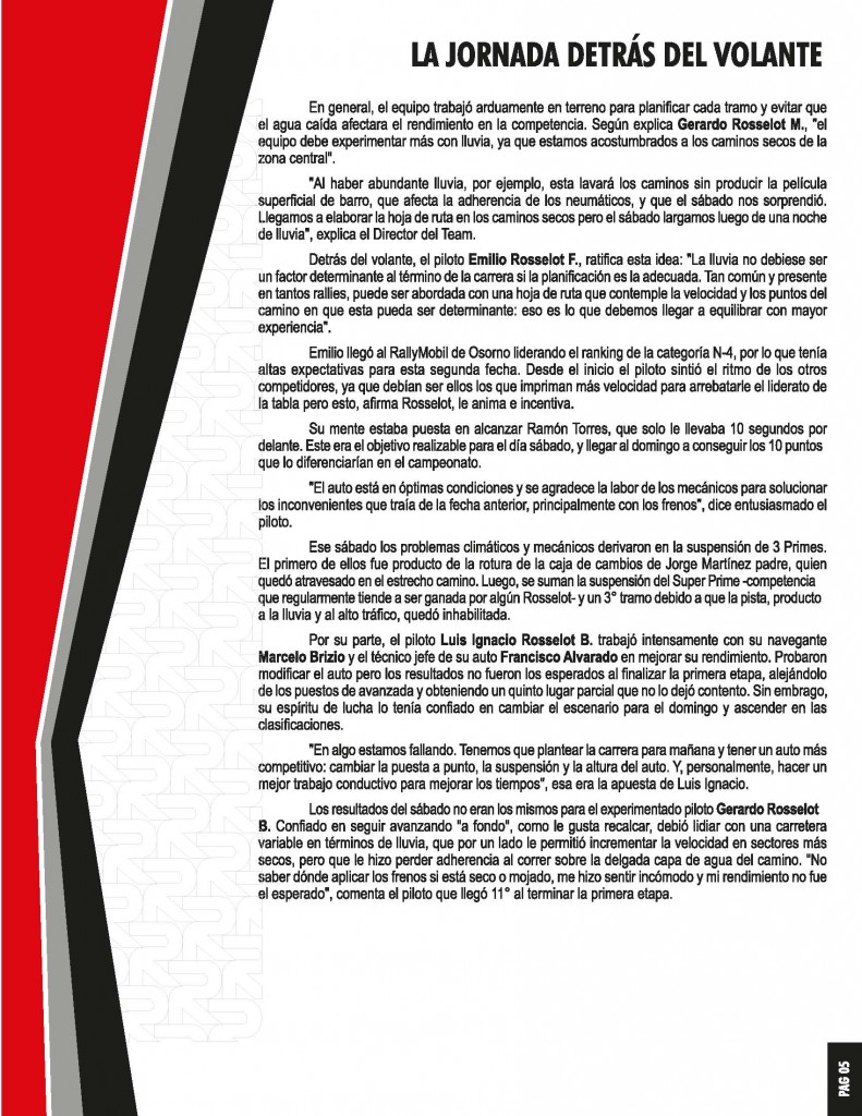 02informe_Osorno_Page_06