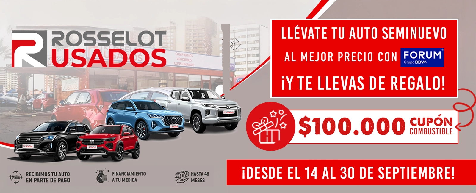 USADOS $100.000 CUPON COMBUSTIBLE
