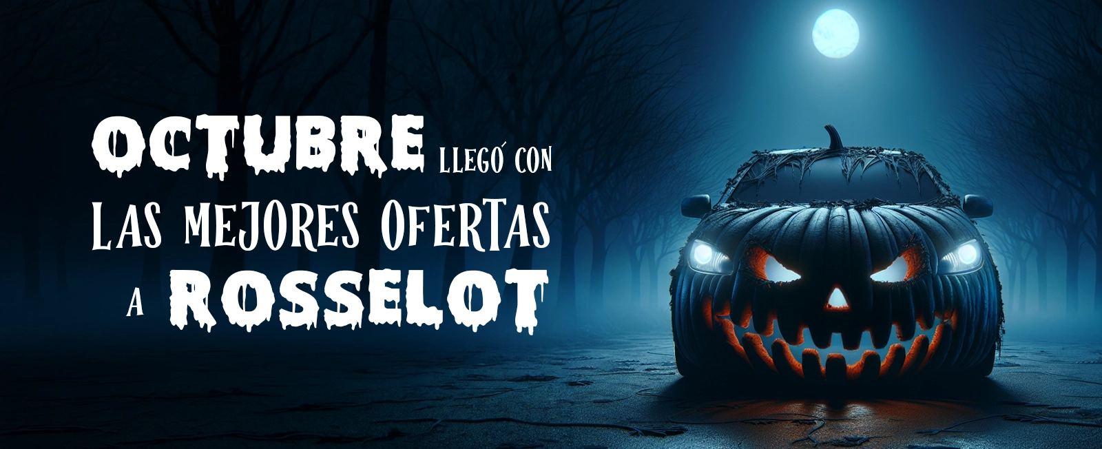 Banner Oferta Octubre