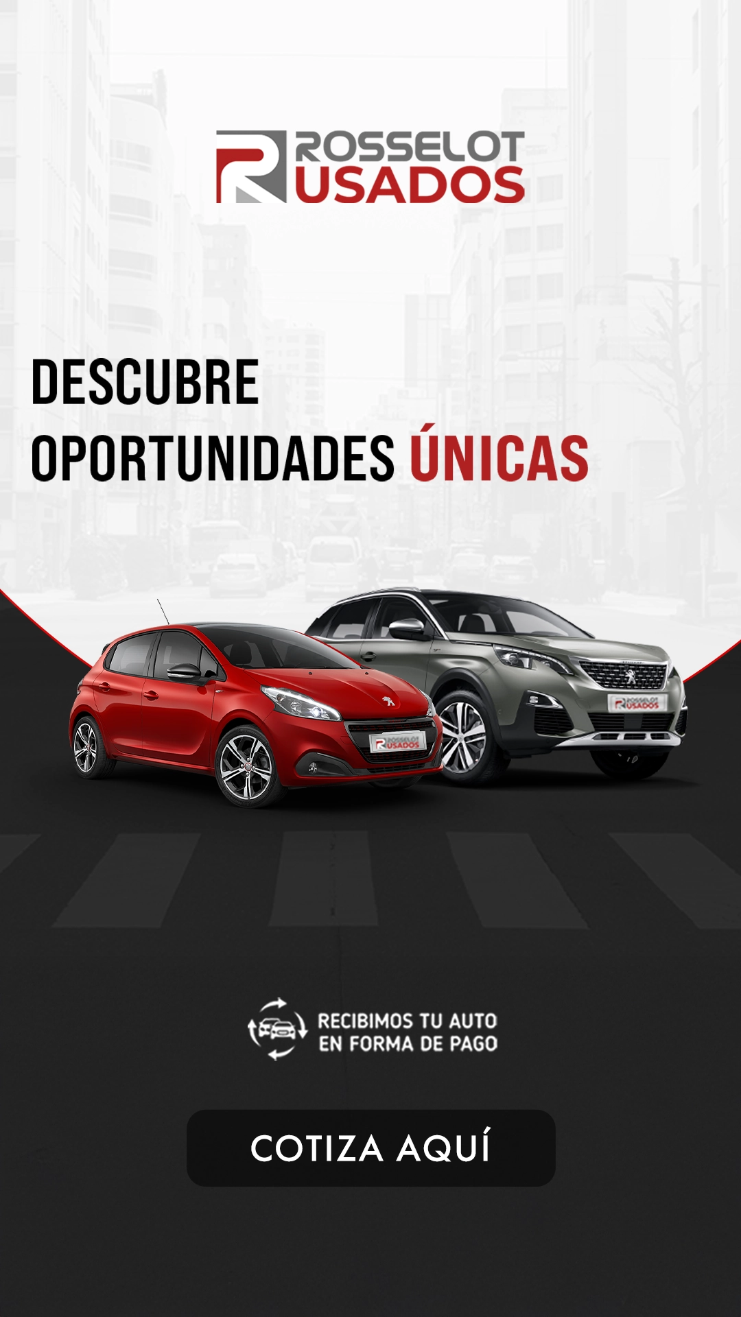 Rosselot Usados