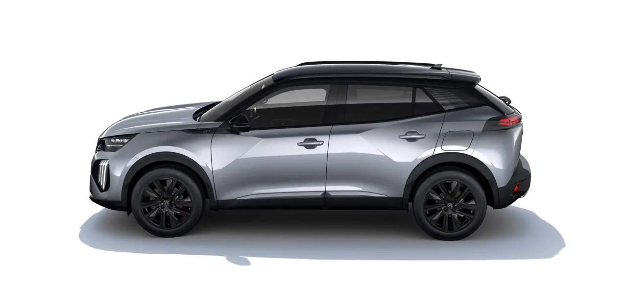 New-2008-gris-artense