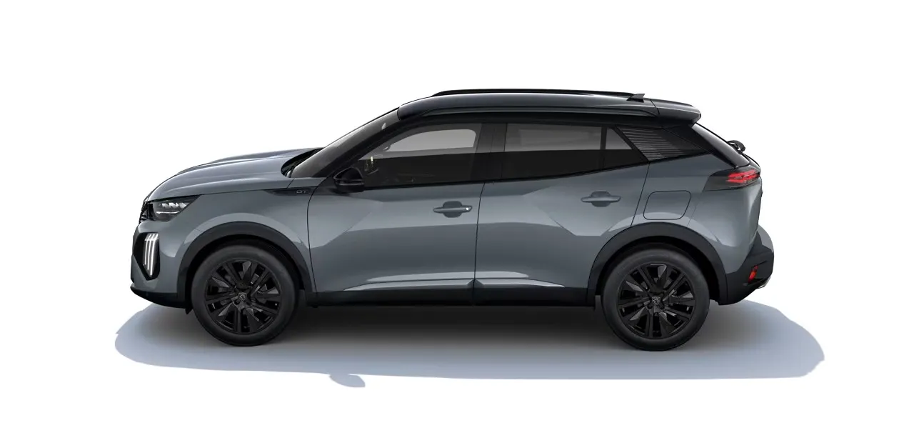 New-2008-gris-selenium