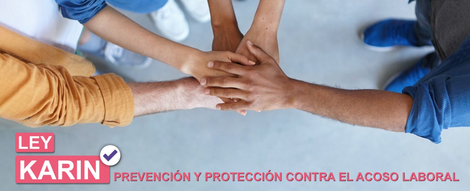 Ley Karin