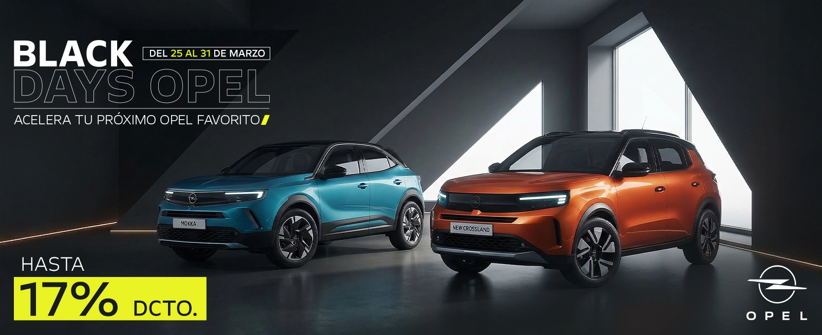 BLACK DAYS OPEL Banner BLACK DAYS OPEL