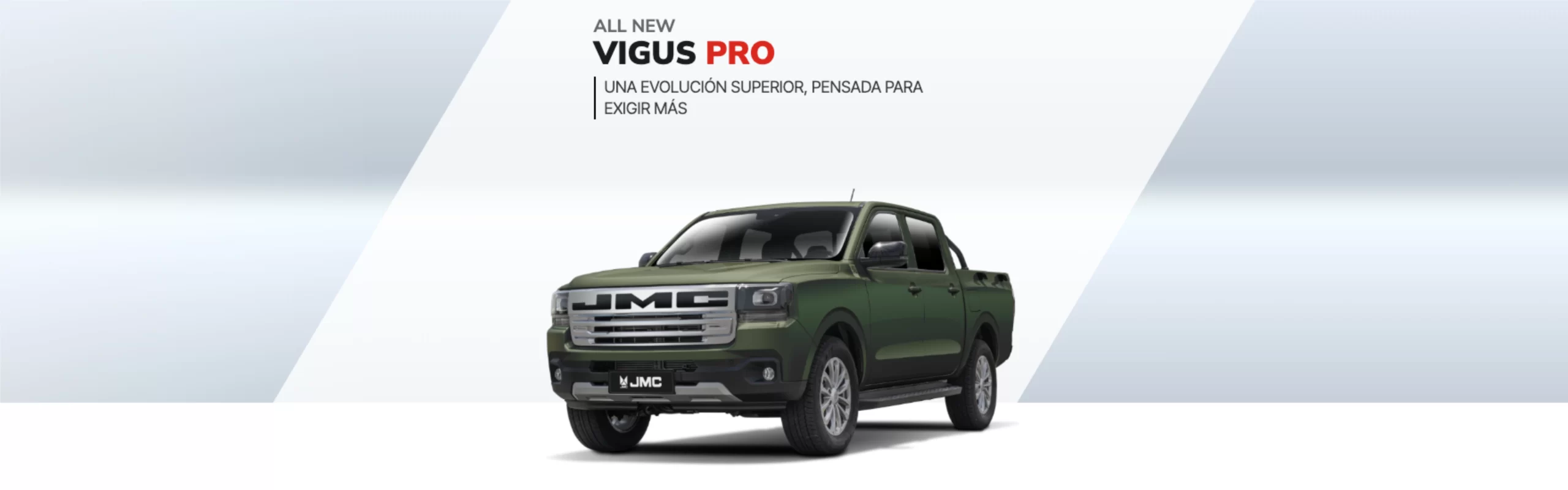 banner-vigud-pro