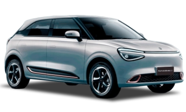 Dongfeng ADP NAMMI EV